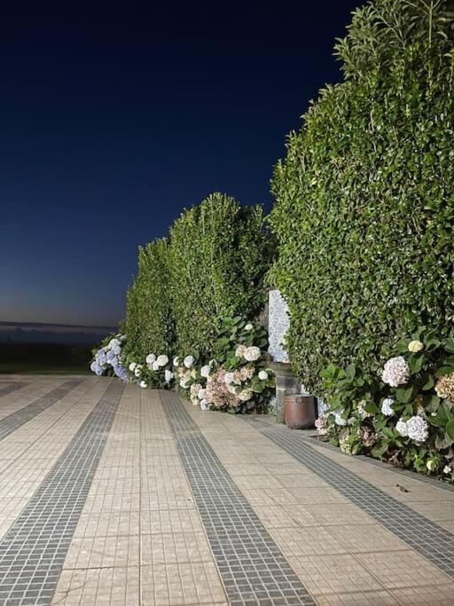 Azores Green Nature Rabo de Peixe Exterior foto